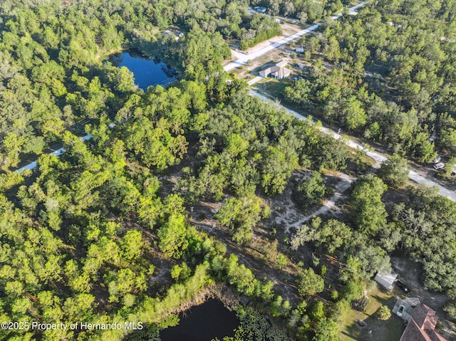 0 Yellowthroat Ave, Weeki Wachee, FL 34614