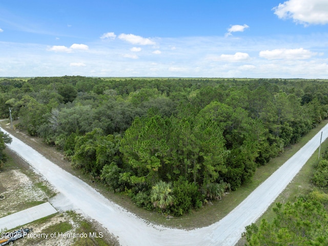 0 Yellowthroat Ave, Weeki Wachee, FL 34614