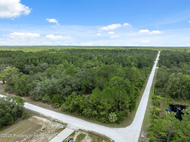 0 Yellowthroat Ave, Weeki Wachee, FL 34614