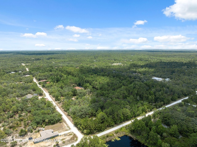 0 Yellowthroat Ave, Weeki Wachee, FL 34614