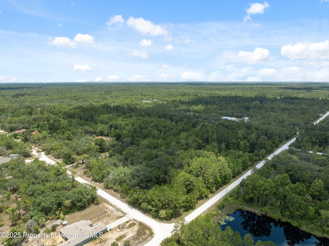 0 Yellowthroat Ave, Weeki Wachee, FL 34614