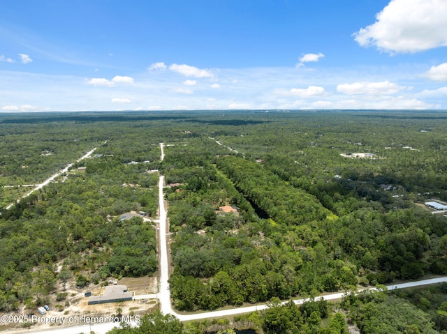 0 Yellowthroat Ave, Weeki Wachee, FL 34614