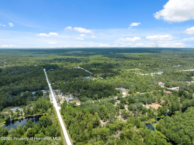 0 Yellowthroat Ave, Weeki Wachee, FL 34614