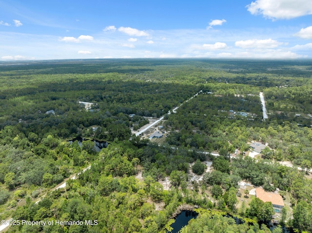 0 Yellowthroat Ave, Weeki Wachee, FL 34614