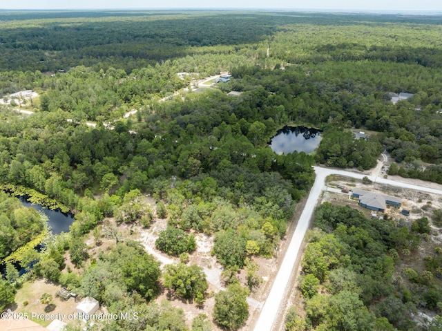 0 Yellowthroat Ave, Weeki Wachee, FL 34614