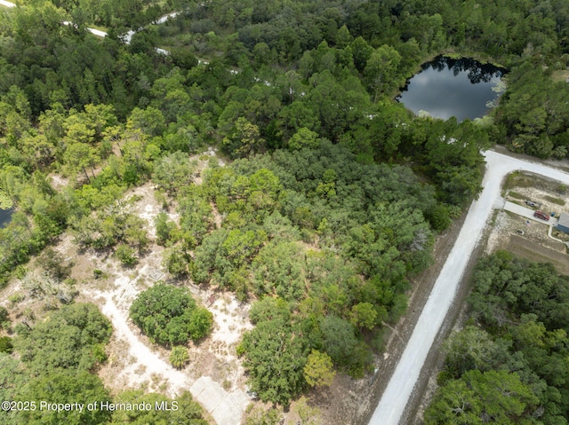 0 Yellowthroat Ave, Weeki Wachee, FL 34614