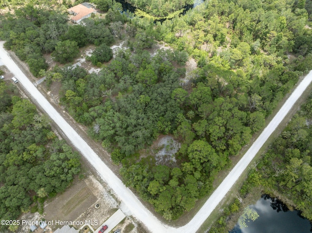 0 Yellowthroat Ave, Weeki Wachee, FL 34614