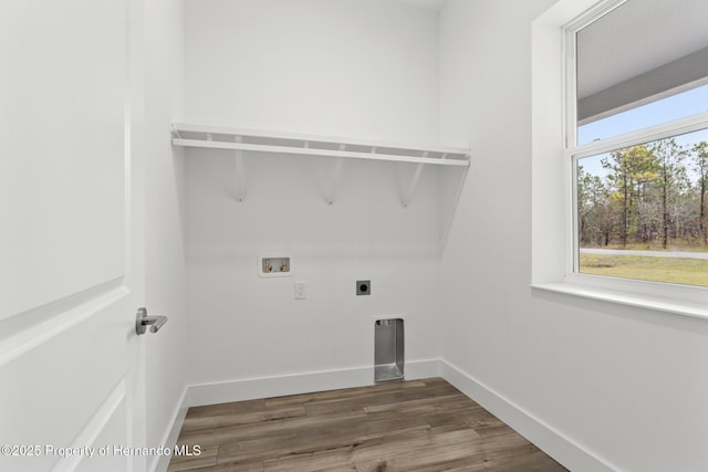 washroom featuring hookup for a washing machine, hookup for an electric dryer, and dark hardwood / wood-style flooring