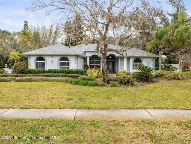 ranch-style house featuring a front yard