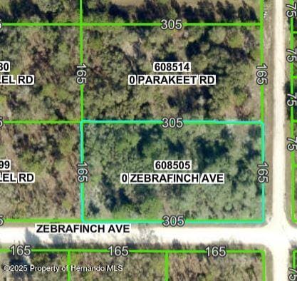 Listing photo 2 for LOT9 Zebrafinch Ave, Weeki Wachee FL 34614