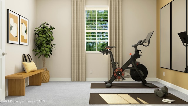 exercise room featuring light carpet