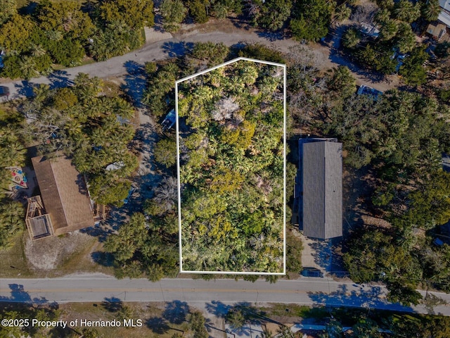 Listing photo 2 for LOT69 Pine Island Dr, Weeki Wachee FL 34607