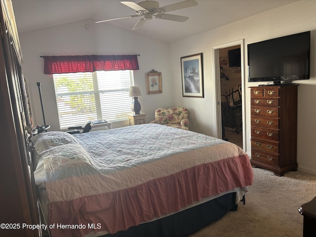 carpeted bedroom featuring a ceiling fan, lofted ceiling, a closet, and a spacious closet