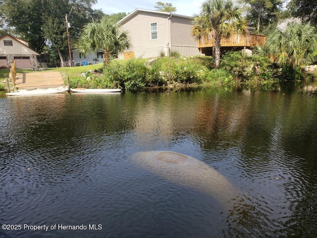 property view of water