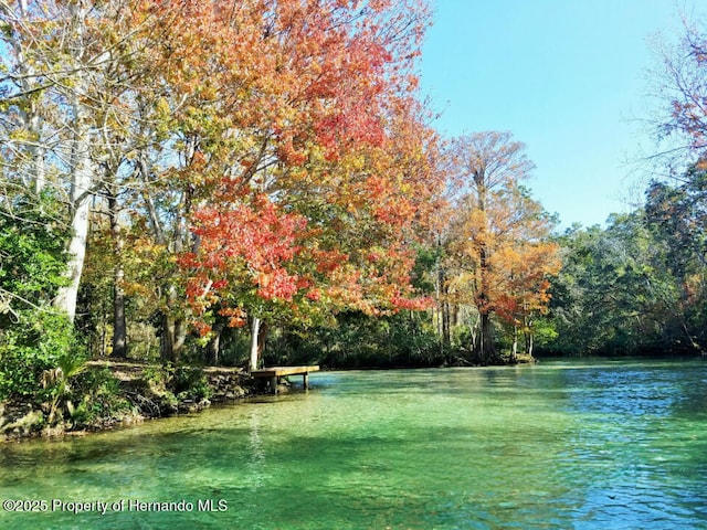 property view of water