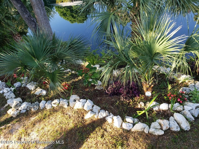 details featuring a small pond