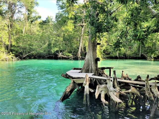 view of dock featuring a water view