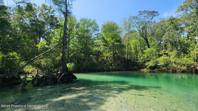 property view of water