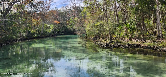 property view of water