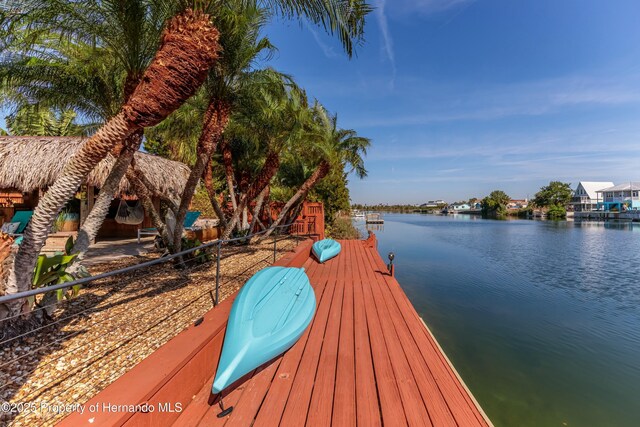 dock area with a water view