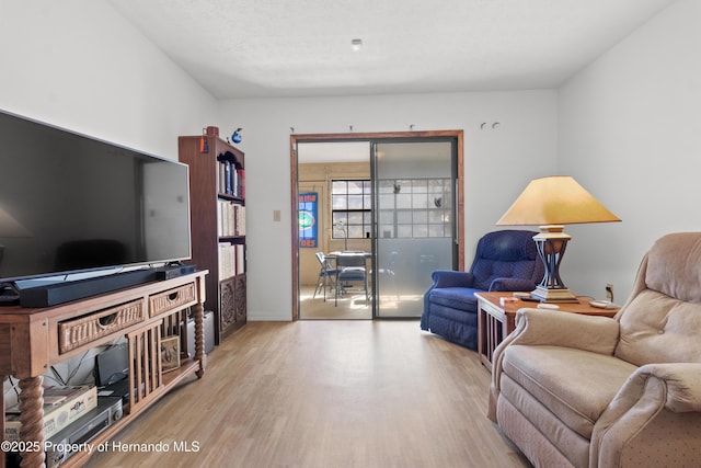 living room with light wood-type flooring