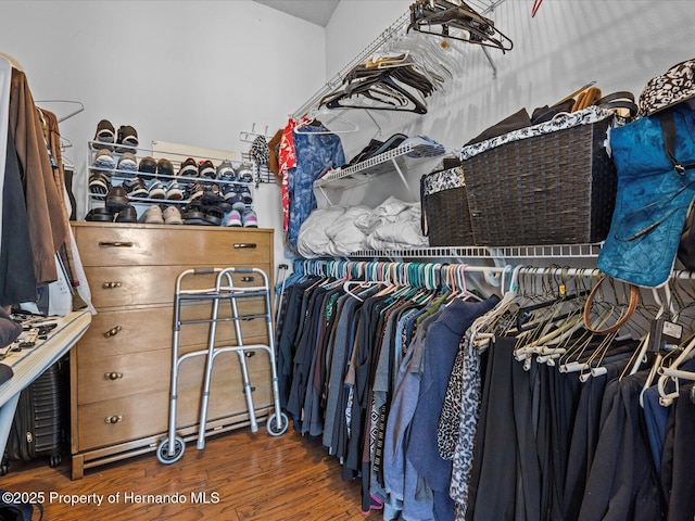 spacious closet with dark wood-type flooring