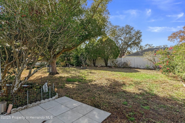 view of yard featuring a patio