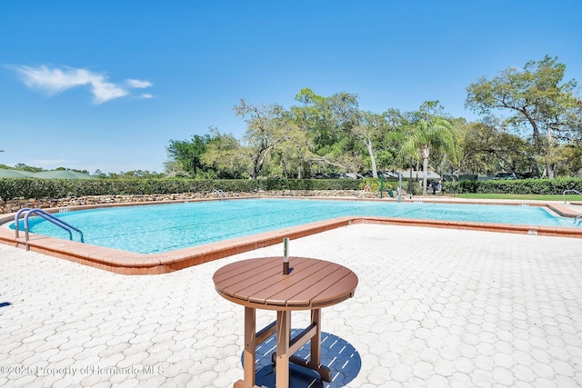 view of swimming pool with a patio