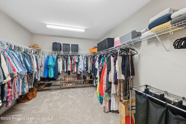 walk in closet featuring carpet floors