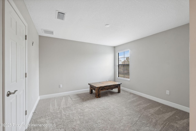 interior space with light carpet and a textured ceiling