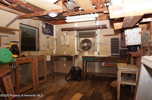 basement featuring dark wood-type flooring and a workshop area