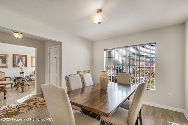 dining space with light hardwood / wood-style flooring