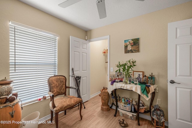 sitting room featuring light hardwood / wood-style flooring and ceiling fan