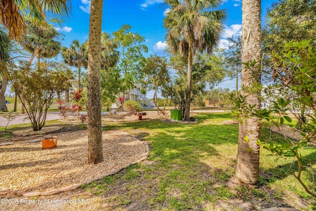 view of yard