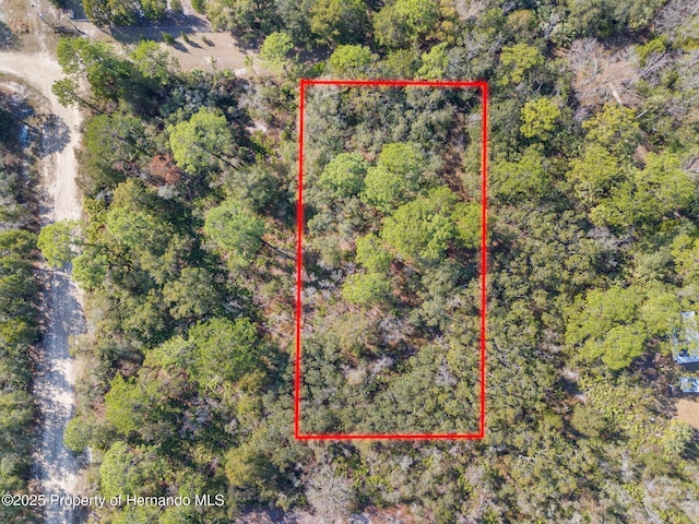 419 N Vesper Pt, Crystal River FL, 34429 land for sale