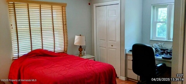 bedroom with a closet and light wood-type flooring