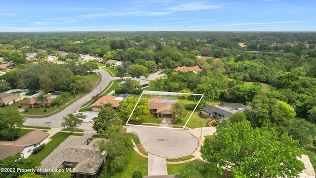 aerial view