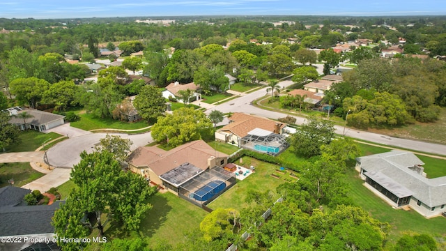 bird's eye view