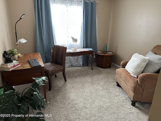 living area featuring carpet floors