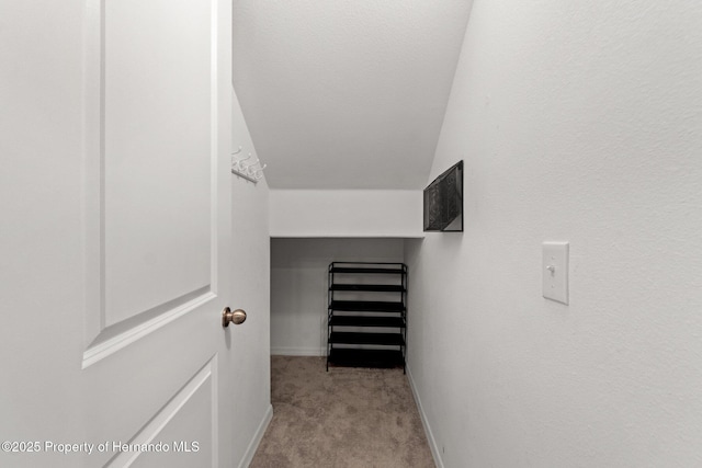 spacious closet with light carpet