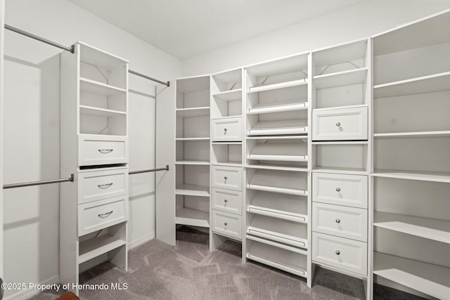 spacious closet with dark carpet