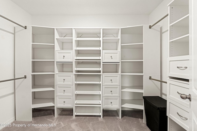 walk in closet featuring carpet floors