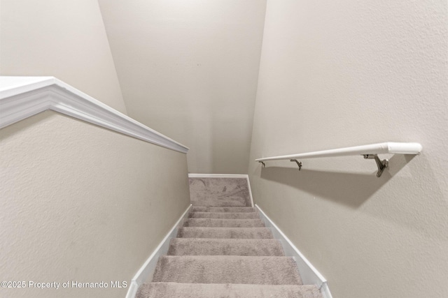 stairway with carpet flooring