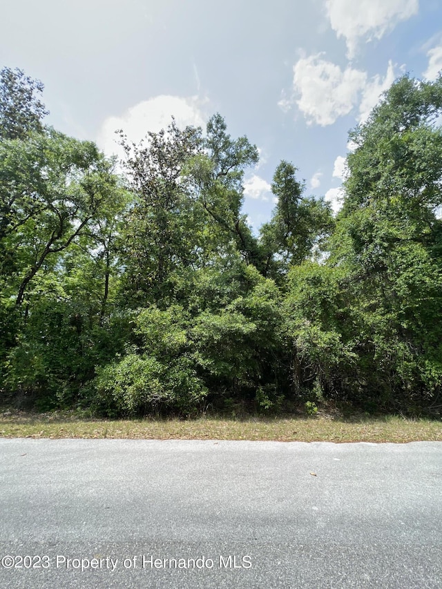 0 NW 70th Cir, Chiefland FL, 32626 land for sale