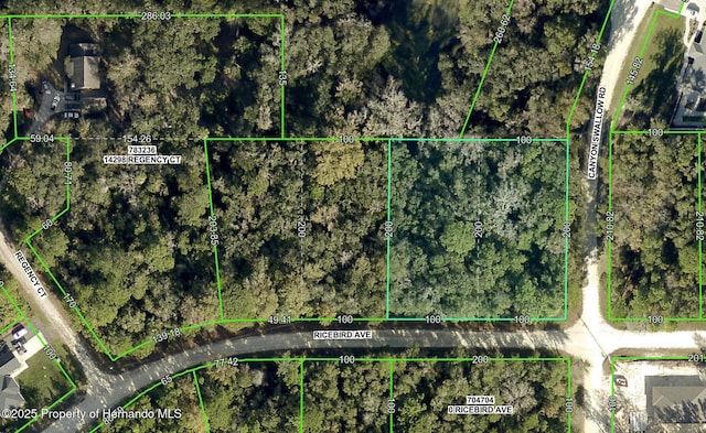 0 Ricebird Ave, Weeki Wachee FL, 34614 land for sale