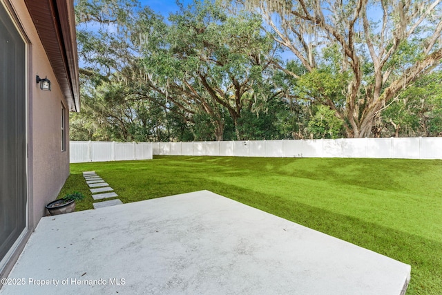 view of yard with a patio area