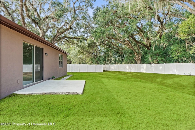 view of yard with a patio area