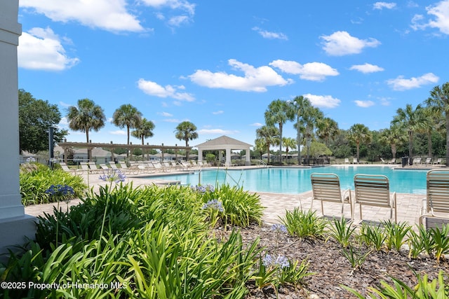 view of pool with a gazebo and a patio