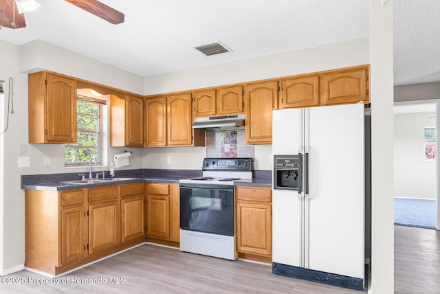 kitchen featuring sink, white appliances, ceiling fan, a textured ceiling, and light hardwood / wood-style flooring