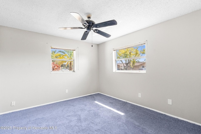 spare room with a wealth of natural light, a textured ceiling, and carpet